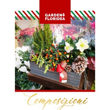 Composizioni Natalizie!