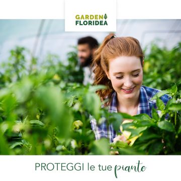 Verdemax nel tuo giardino!