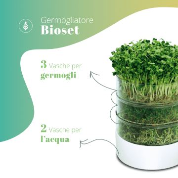 I CONSIGLI DEI NOSTRI ESPERTI