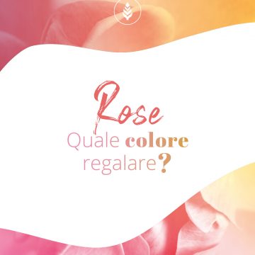Ad ogni personalità il suo colore!