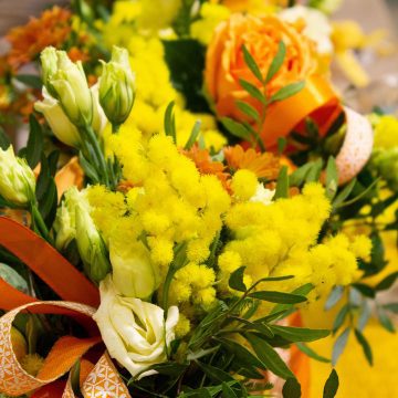 Festa della donna