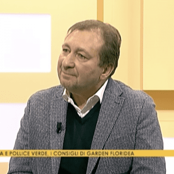 Maurizio Piacenza, ospite 'A Telearena Sei a casa'