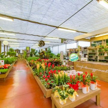 Parlano del nostro FloriTour