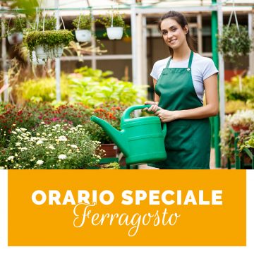 Chiusura speciale di Ferragosto 2020