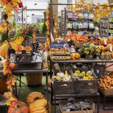 Halloween firmato Garden Floridea