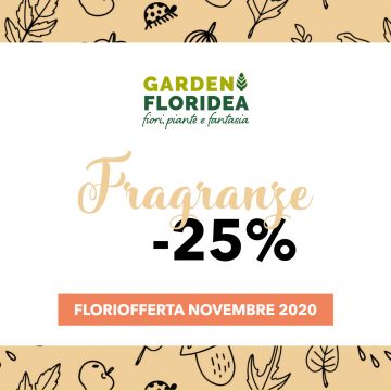 Floriofferta Novembre 2020