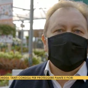 Garden Floridea per "A Telearena SEI A CASA"