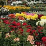 Home decor e una festa di fiori e profumi. È primavera, fai brillare la tua casa!