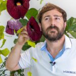 LE GEORGICHE